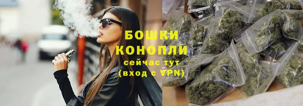 гидропоника Богданович
