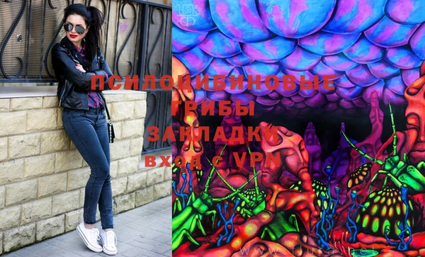ГАЛЛЮЦИНОГЕННЫЕ ГРИБЫ Улан-Удэ