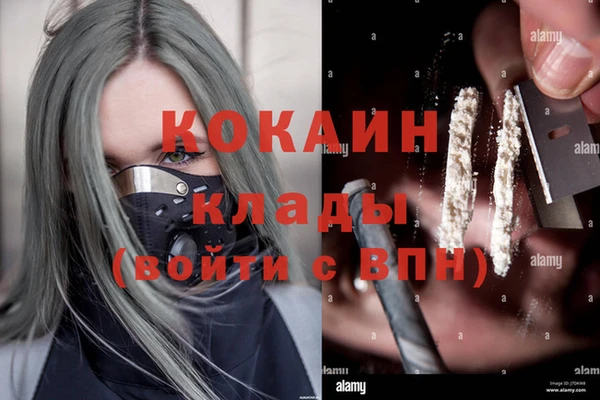 гидропоника Богданович